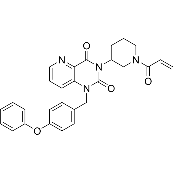 EG-011 Structure