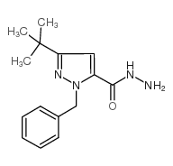 1-BENZYL-3-(TERT-BUTYL)-1H-PYRAZOLE-5-CARBOHYDRAZIDE structure