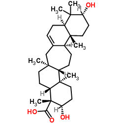 53755-77-4 structure