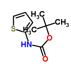 N-(2-噻吩基)氨基甲酸叔丁酯结构式