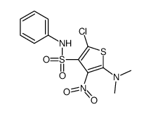 2-chloro-5-(dimethylamino)-4-nitro-N-phenylthiophene-3-sulfonamide Structure