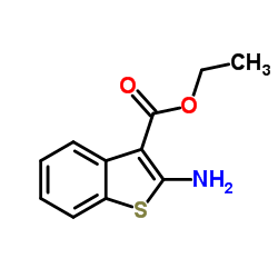 2-氨基-苯并[B]噻吩-3-羧酸乙酯图片