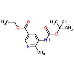 Ethyl 5-((tert-butoxycarbonyl)amino)-6-methylnicotinate structure