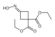 diethyl 3-hydroxyiminocyclobutane-1,1-dicarboxylate结构式