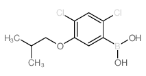 (2,4-DICHLORO-5-ISOBUTOXYPHENYL)BORONIC ACID structure