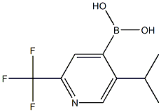 5-(iso-propyl)-2-trifluoromethylpyridine-4-boronic acid图片