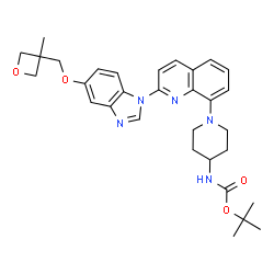 N-Boc-1-[2-[5-[(3-甲基-3-氧杂环丁基)甲氧基]-1-苯并咪唑基]-8-喹啉基]-4-哌啶胺结构式