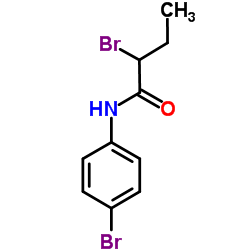 2-Bromo-N-(4-bromophenyl)butanamide structure