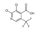 2,3-二氯-5-(三氟甲基)异烟酸图片