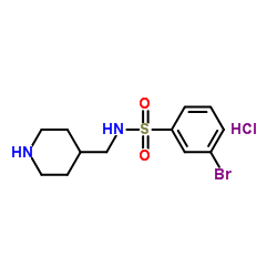 3-Bromo-N-piperidin-4-ylmethyl-benzenesulfonamide hydrochloride结构式