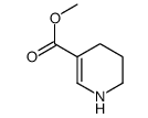 methyl 1,4,5,6-tetrahydropyridine-3-carboxylate picture