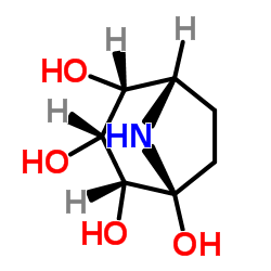 Calystegine B3 structure