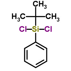 tert-butylphenyldichlorosilane picture