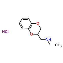 N-(2,3-dihydro-1,4-benzodioxin-2-ylmethyl)-N-ethylamine hydrochloride picture