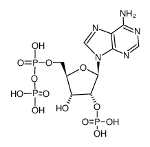 4457-01-6结构式