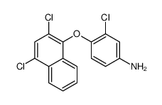 3-chloro-4-(2,4-dichloronaphthalen-1-yl)oxyaniline结构式