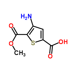 2,5-Thiophenedicarboxylicacid,3-amino-,2-methylester(9CI) picture