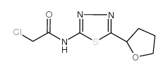 CHEMBRDG-BB 9071298图片