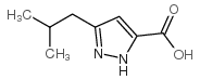 3-(2-Methlypropyl)-1H-pyrazole-5-carboxylic acid picture