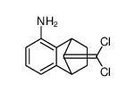 9-(二氯)-1,2,3,4-四氢-1,4-甲基萘-5-胺结构式