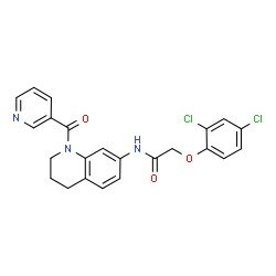 2-(2,4-dichlorophenoxy)-N-[1-(pyridin-3-ylcarbonyl)-1,2,3,4-tetrahydroquinolin-7-yl]acetamide structure