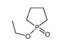 1-ethoxy-1λ5-phospholane 1-oxide Structure