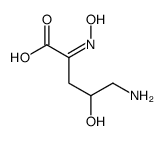 Pentanoic acid, 5-amino-4-hydroxy-2-(hydroxyimino)-, (R)- (9CI) picture