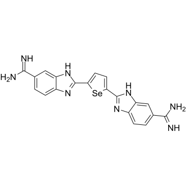 DB1976 Structure