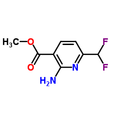 Methyl 2-amino-6-(difluoromethyl)nicotinate Structure