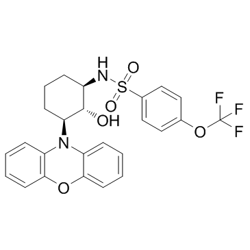 DT-061 Structure