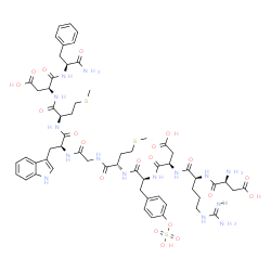 cholecystokinin 10 C-terminal fragment structure