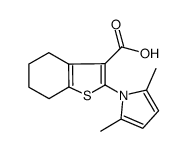 2-(2,5-二甲基-1H-吡咯-1-基)-4,5,6,7-四氢苯并[b]噻吩-3-羧酸结构式