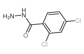 2,4-Dichlorobenzohydrazide Structure