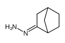 Norcampher-hydrazon Structure