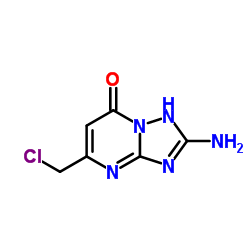 2-Amino-5-(chloromethyl)[1,2,4]triazolo[1,5-a]pyrimidin-7(1H)-one结构式