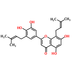 朝蓄素B图片