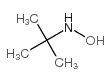 N-叔丁基羟胺图片
