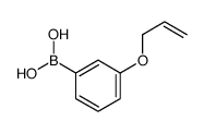 3-烯丙氧基苯硼酸图片