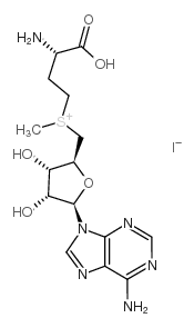 5'-[[(3S)-3-AMINO-3-CARBOXYPROPYL]METHYLSULFONIO]-5'-DEOXY-ADENOSINE IODIDE Structure