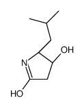 (4R,5R)-4-hydroxy-5-(2-methylpropyl)pyrrolidin-2-one结构式