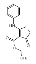 4-氧代-2-(苯基氨基)-4,5-二氢噻吩-3-羧酸乙酯结构式