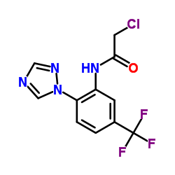 2-Chloro-N-[2-(1H-1,2,4-triazol-1-yl)-5-(trifluoromethyl)phenyl]acetamide Structure