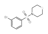 4-(3-BROMO-BENZENESULFONYL)-THIOMORPHOLINE picture