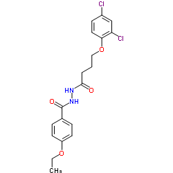 N'-[4-(2,4-Dichlorophenoxy)butanoyl]-4-ethoxybenzohydrazide结构式