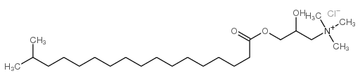 [2-hydroxy-3-[(1-oxoisooctadecyl)oxy]propyl]trimethylammonium chloride picture