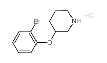 2-Bromophenyl 3-piperidinyl ether hydrochloride结构式