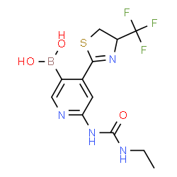 6-(3-ethylureido)-4-(4-(trifluoromethyl)-4,5-dihydrothiazol-2-yl)pyridin-3-ylboronic acid Structure