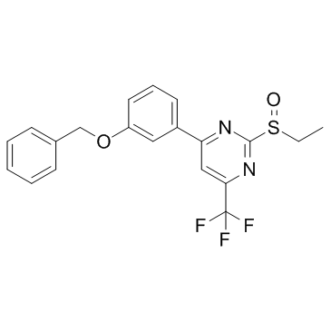 1371569-69-5 structure