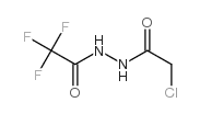 1-氯乙酰基-2-(三氟乙酰基)肼结构式