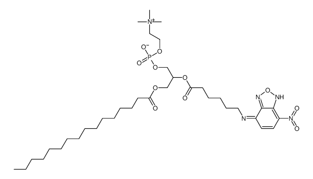 L-A-PHOSPHATIDYLCHOLINE, B-(NBD-*AMINOHE XANOYL)-GAM图片